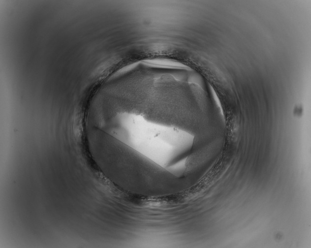 X0000102500746200808221753