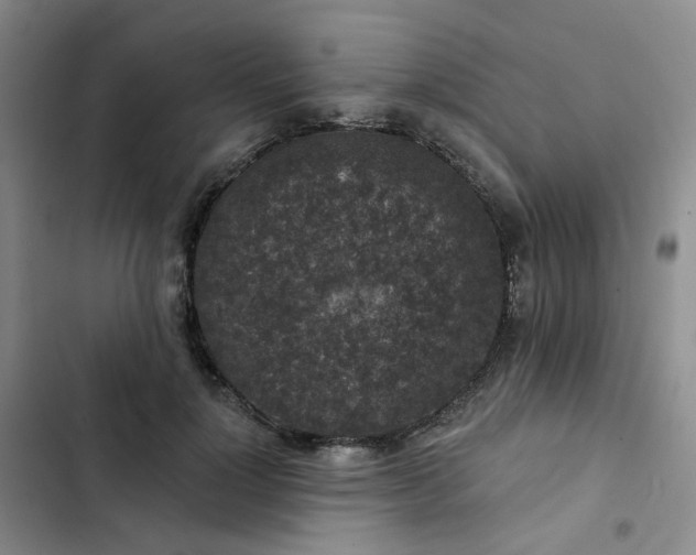 X0000102500748200808221753