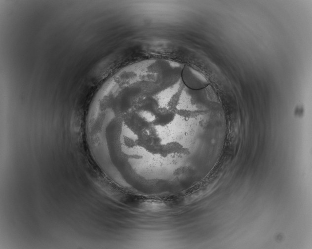 X0000102500749200808221753