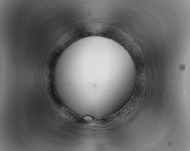 X0000102500750200808221753