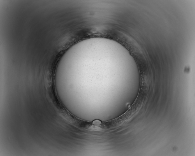 X0000102500751200808221753