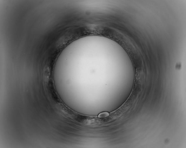 X0000102500752200808221753