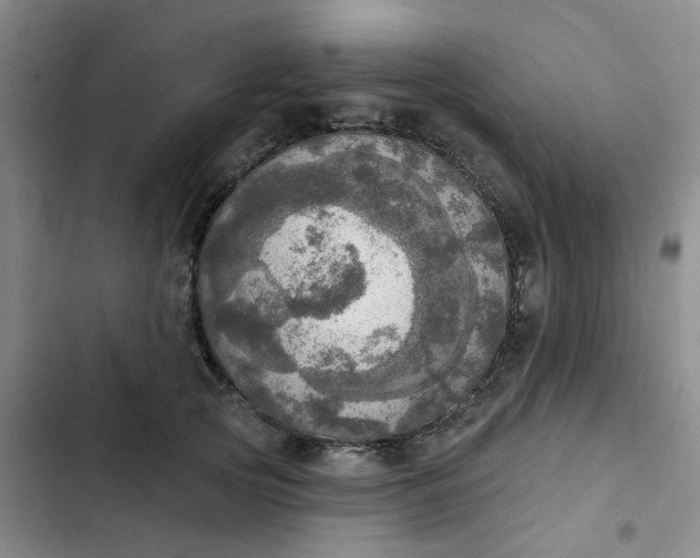 X0000102500753200808221753