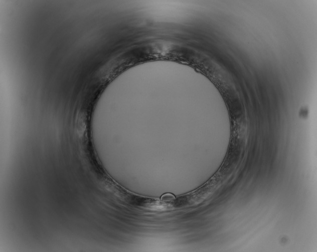 X0000102500754200808221753