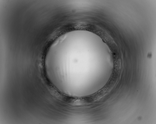 X0000102500755200808221753