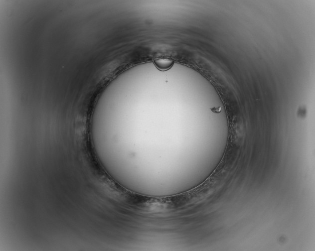 X0000102500756200808221753