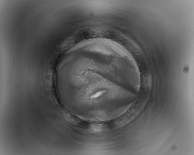 X0000102500757200808221753