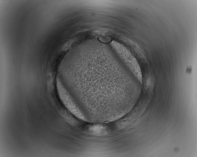 X0000102500759200808221753