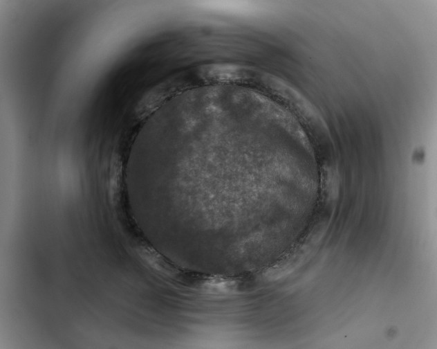 X0000102500760200808221753