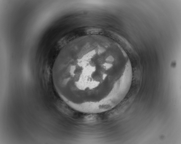 X0000102500761200808221753