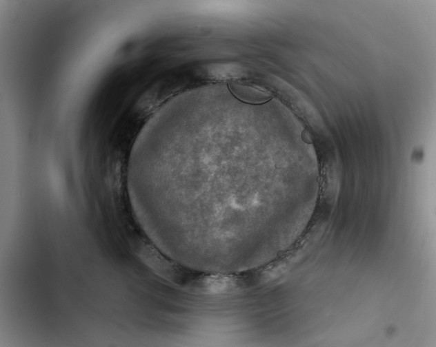 X0000102500762200808221753