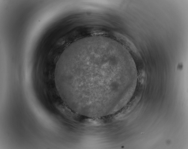 X0000102500763200808221753