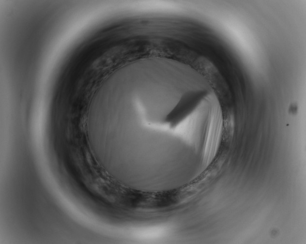 X0000102500765200808221754