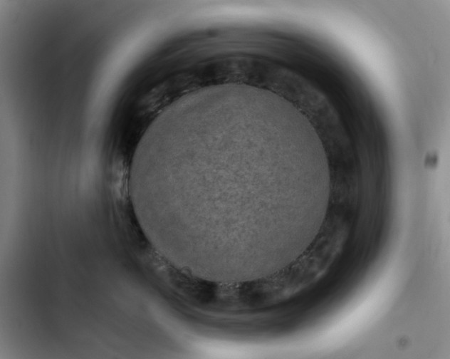 X0000102500766200808221754