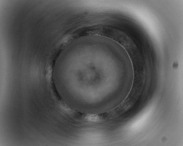 X0000102500767200808221754