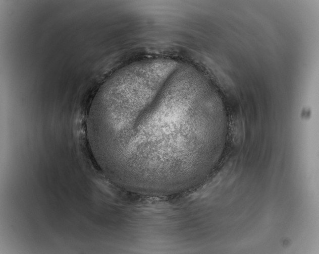 X0000102500770200808221753