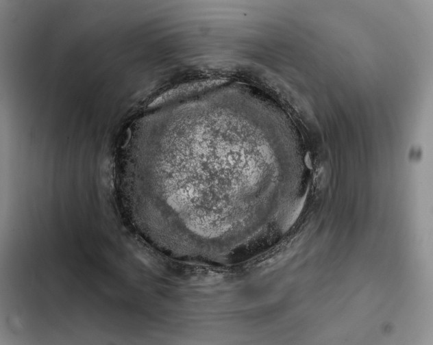 X0000102500772200808221753