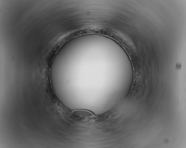 X0000102500773200808221753