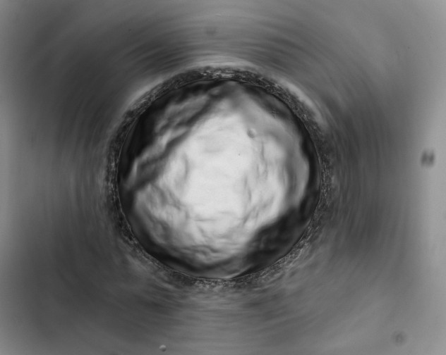 X0000102500775200808221753