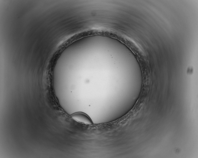 X0000102500776200808221753