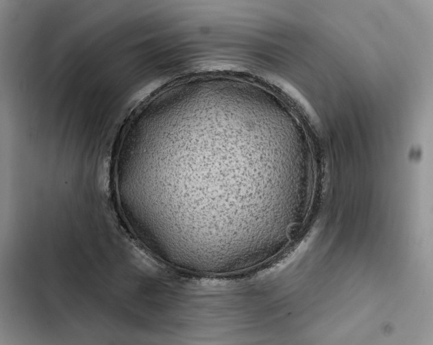 X0000102500777200808221753