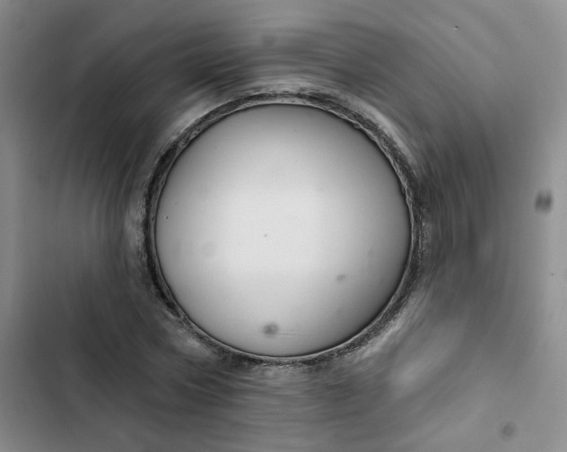 X0000102500778200808221753