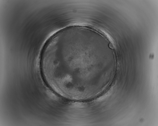 X0000102500779200808221753