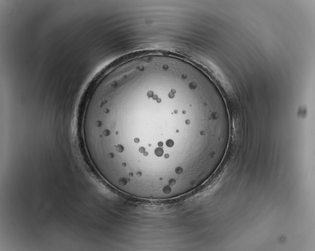 X0000102500780200808221753