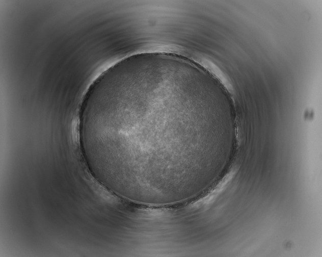 X0000102500781200808221753