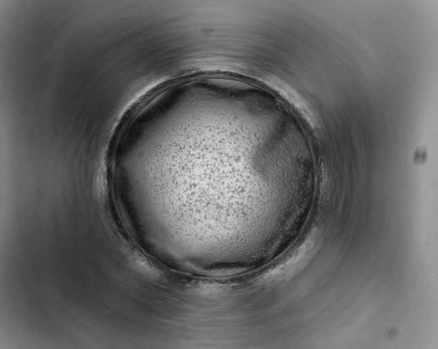 X0000102500782200808221753