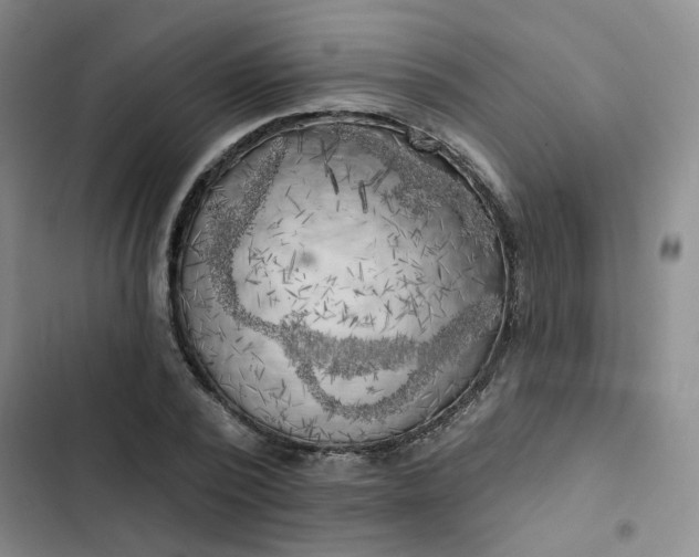 X0000102500784200808221753