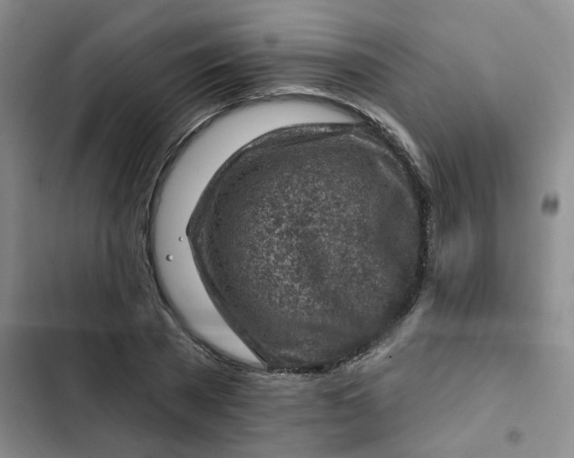 X0000102500785200808221753