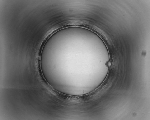 X0000102500786200808221752