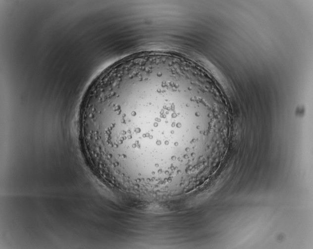 X0000102500787200808221752