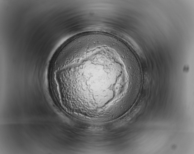 X0000102500788200808221752