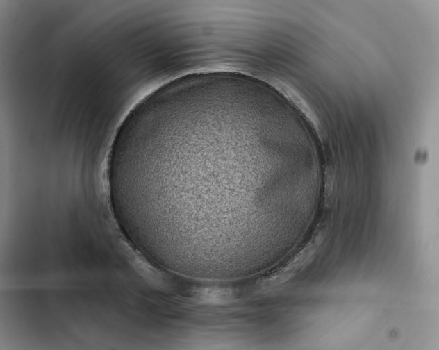 X0000102500789200808221752