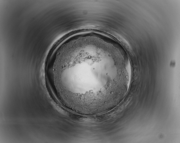 X0000102500792200808221752