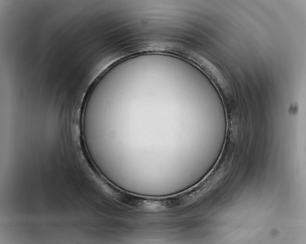 X0000102500794200808221752