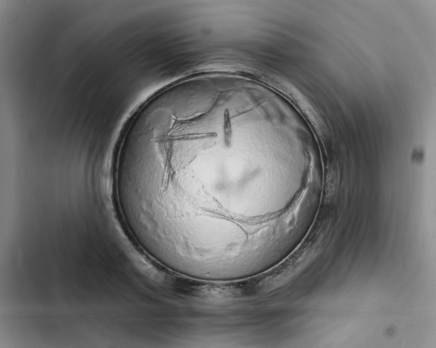 X0000102500795200808221752