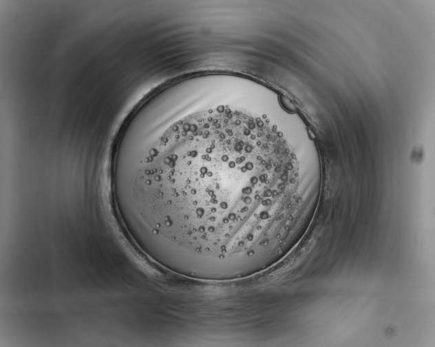 X0000102500796200808221752