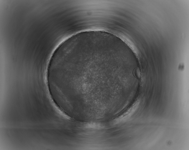 X0000102500797200808221752