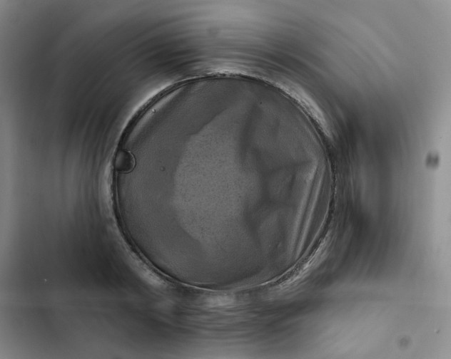 X0000102500798200808221752