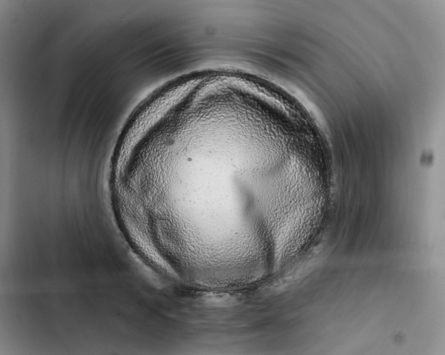 X0000102500799200808221752