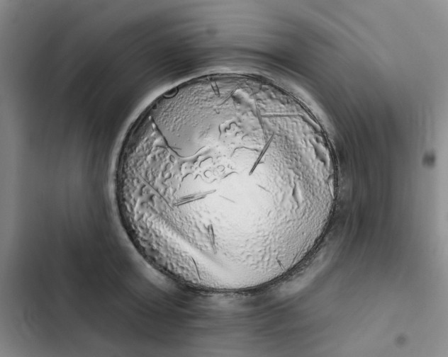 X0000102500803200808221752