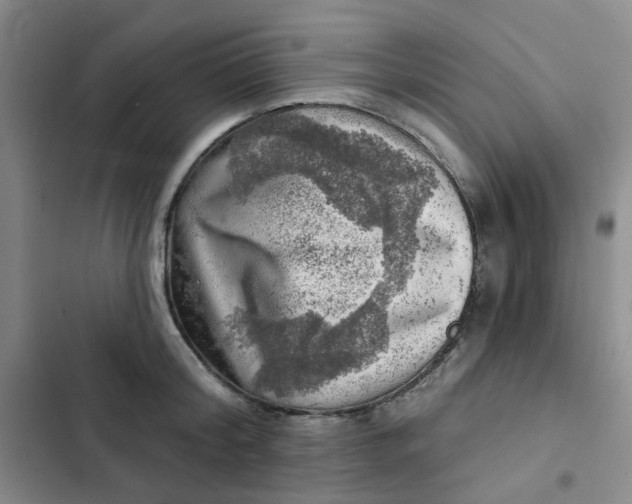 X0000102500804200808221752