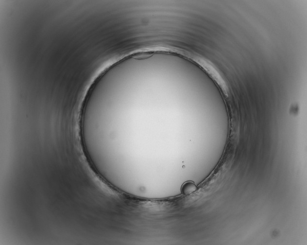 X0000102500805200808221752