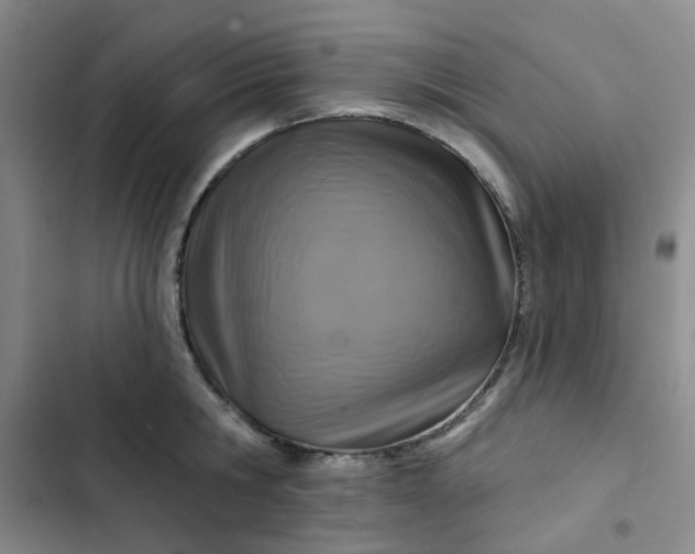 X0000102500806200808221752