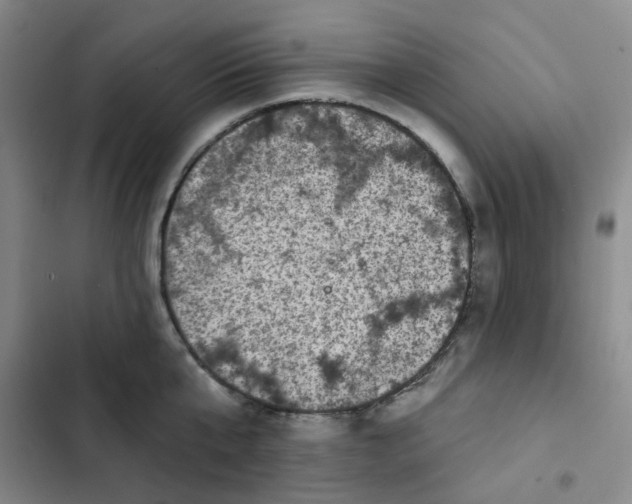 X0000102500807200808221752