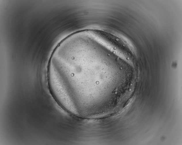 X0000102500808200808221752