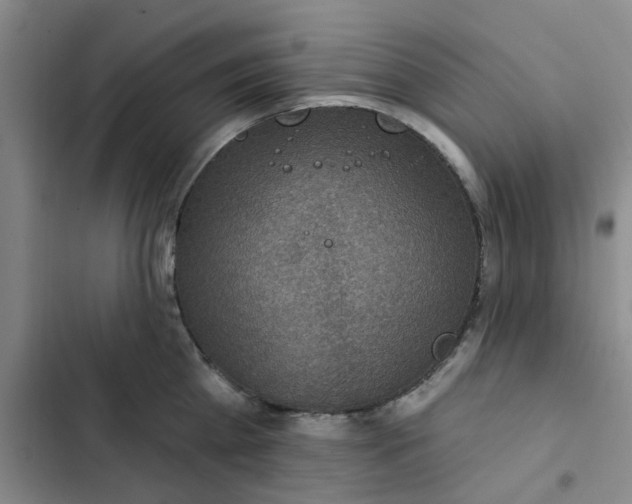 X0000102500809200808221752